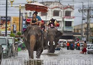 タイについての面白情報